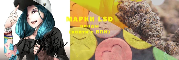 ECSTASY Вяземский