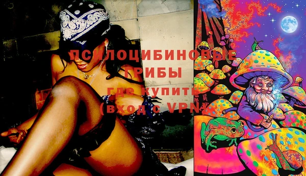 ECSTASY Вяземский
